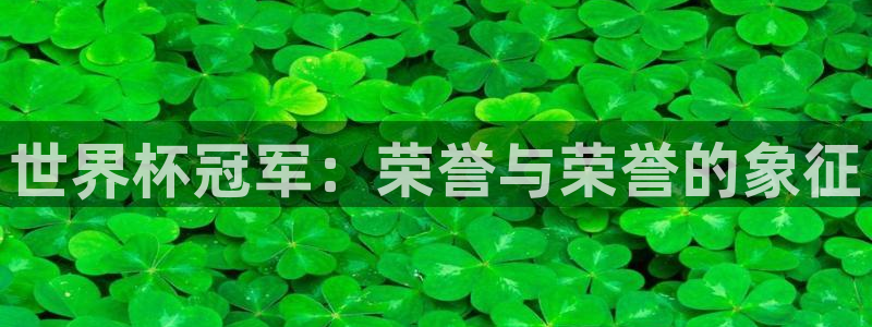 世界杯欧洲预选赛：世界杯冠军：荣誉与荣誉的象征
