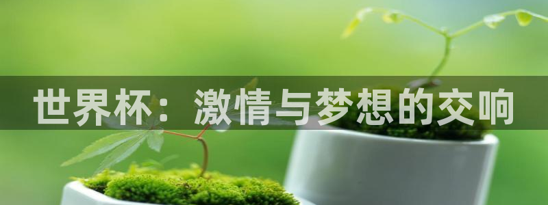 法国杯2026赛程表：世界杯：激情与梦想的交响