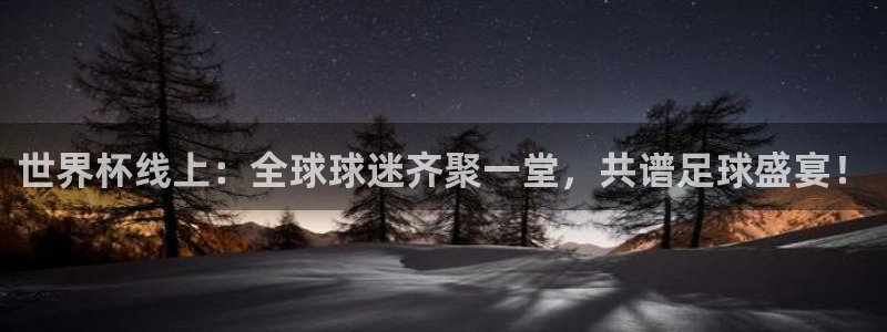 世界杯足球赛2026：世界杯线上：全球球迷齐聚一堂，共谱足球盛宴！