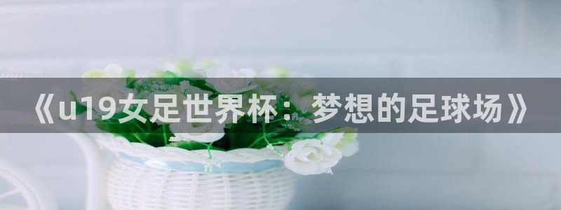 2026世亚预赛赛程表：《u19女足世界杯：梦想的足球场》