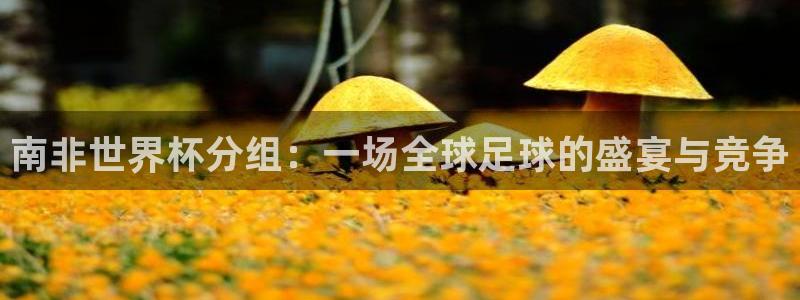 世界杯决赛圈球队：南非世界杯分组：一场全球足球的盛宴与竞争