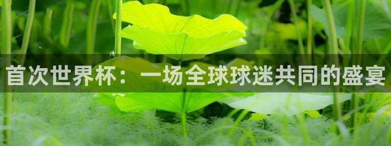 2026年世界杯对阵图：首次世界杯：一场全球球迷共同的盛宴