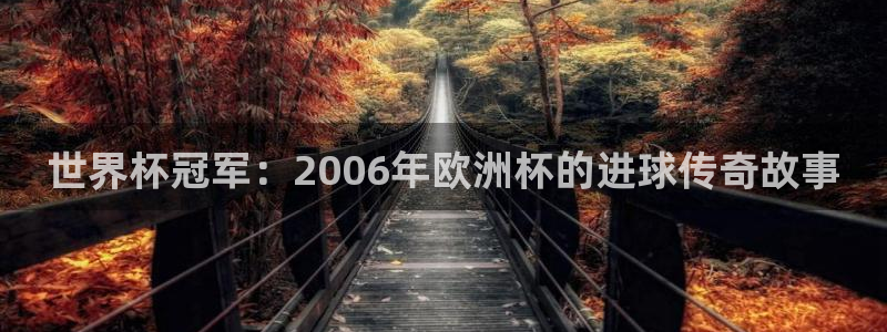 2026世界杯亚洲预选赛赛程：世界杯冠军：2006年欧洲杯的进球传奇故事