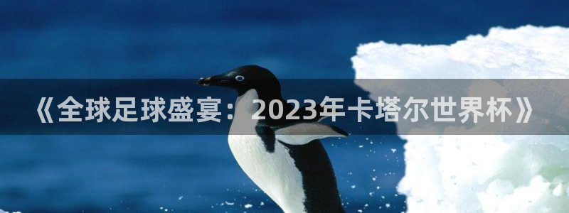 联赛杯直播：《全球足球盛宴：2023年卡塔尔世界杯》