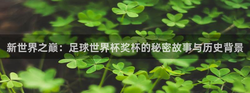 世界杯欧洲区赛程：新世界之巅：足球世界杯奖杯的秘密故事与历史背景