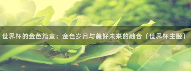 世界杯决赛预测：世界杯的金色篇章：金色岁月与美好未来的融合（世界杯主题）