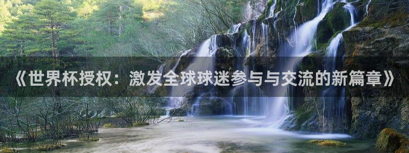 世界杯欧洲区预选赛：《世界杯授权：激发全球球迷参与与交流的新篇章》
