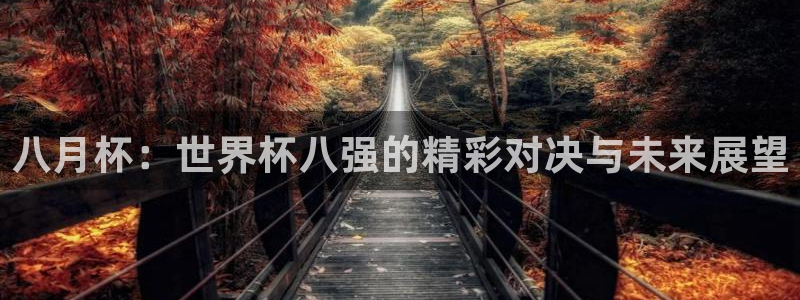 免费看足球直播比赛：八月杯：世界杯八强的精彩对决与未来展望