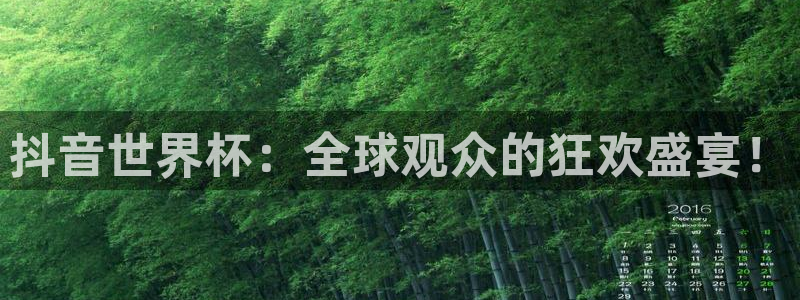 世界杯系列赛：抖音世界杯：全球观众的狂欢盛宴！