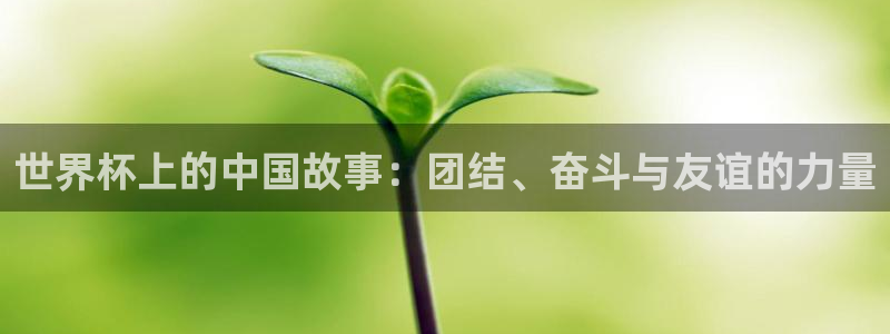 美洲杯直播：世界杯上的中国故事：团结、奋斗与友谊的力量