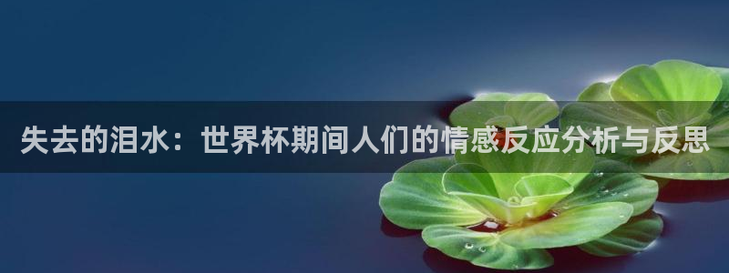 2026足球世界杯：失去的泪水：世界杯期间人们的情感反应分析与反思