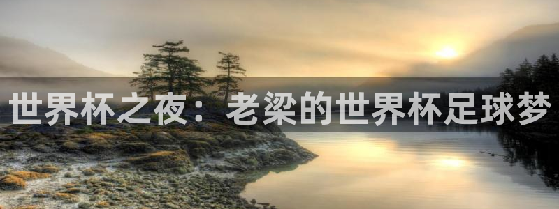 预选赛世界杯：世界杯之夜：老梁的世界杯足球梦