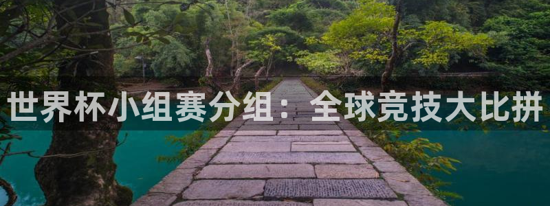 世界直播：世界杯小组赛分组：全球竞技大比拼