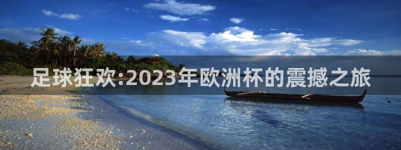 2026年世界杯赛程表时间：足球狂欢:2023年欧洲杯的震撼之旅