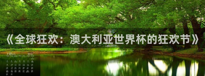 世界杯球队：《全球狂欢：澳大利亚世界杯的狂欢节》